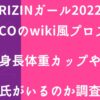 【RIZINガール2022】COCOのwiki風プロフ！身長体重カップや彼氏がいるのかを調査！